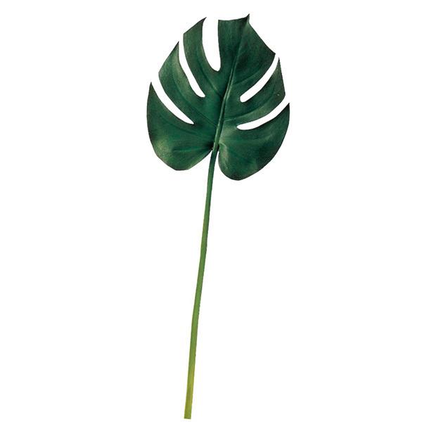  O[ Ƃ悹i Xe(L) ϗt 썑 gsJ 傫 CeA tFCN O[ p[c CeAt[ AXJ ASCA AXJ