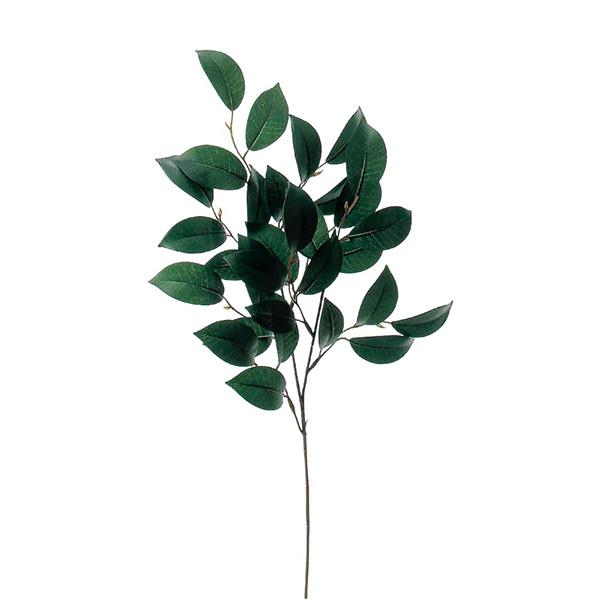   Ƃ悹i TJL    ~ ~ ފ ݉  t[l tFCN ɋ ԍ AXJ ASCA AXJ