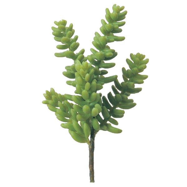 y|Cg5{ 11/03 09:59z  O[ A Ƃ悹i TbJe CeA tFCN O[ p[c ԍ AXJ ASCA AXJ