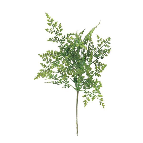 商品サイズ(素材):L26 葉径6~7 (ポリエチレン)【ポリエチレン商品について】プラスチックの素材感がよくわかるものになります。光沢感、硬さがあるものや、一部製造過程でできる、バリと呼ばれるはみ出た部分があるものもございます。近くで見る...