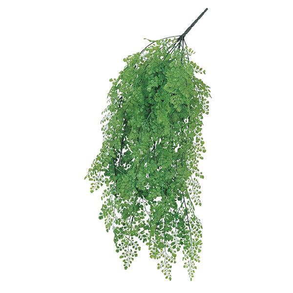 y|Cg5{ 11/03 09:59z  O[ Ƃ悹i AWA^ CeA tFCN O[ p[c tFCNt[ AXJ ASCA AXJ