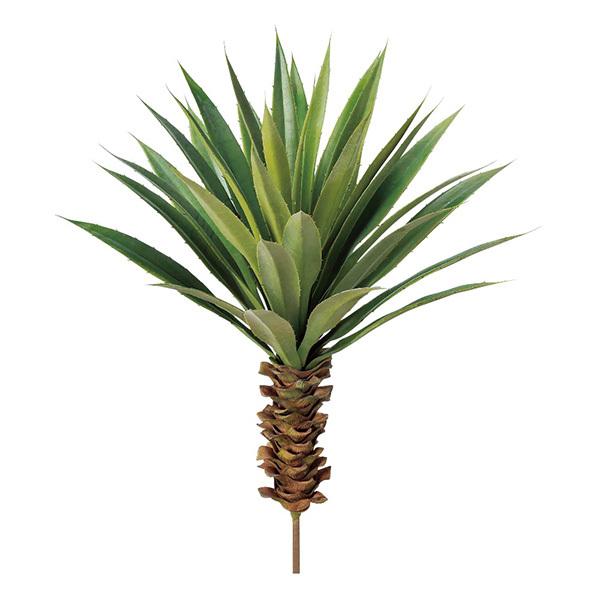 y|Cg5{ 11/03 09:59z  O[ A Ƃ悹i X^[TbJe CeA tFCN O[ p[c AXJ ASCA AXJ