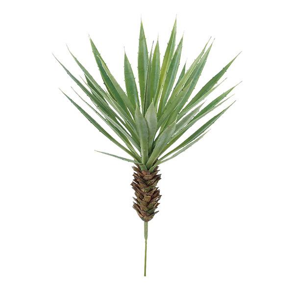 y|Cg5{ 11/03 09:59z  O[ A Ƃ悹i X^[TbJe CeA tFCN O[ p[c AXJ ASCA AXJ