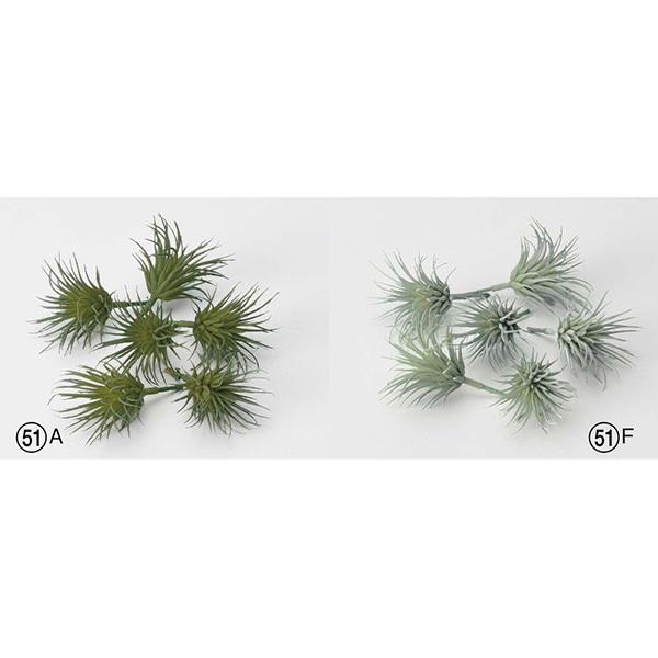  O[ A Ƃ悹i GAvc (16{) GAvc TbJe T{e CeA tFCN ԍ AXJ ASCA AXJ