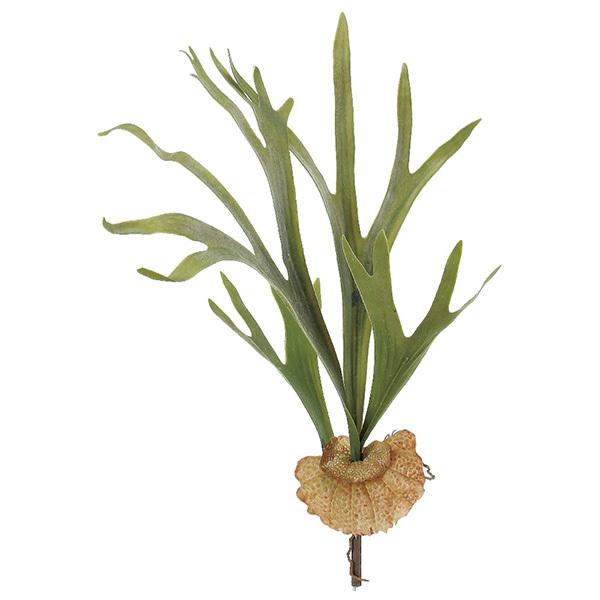  O[ A Ƃ悹i X^bOz[ GAvc TbJe T{e CeA tFCN O[ p[c AXJ ASCA AXJ