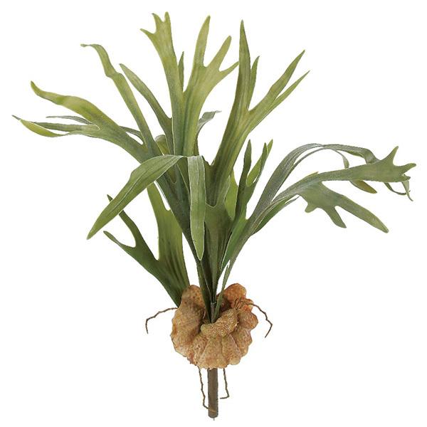  O[ A Ƃ悹i X^bOz[ GAvc TbJe T{e CeA tFCN O[ p[c AXJ ASCA AXJ