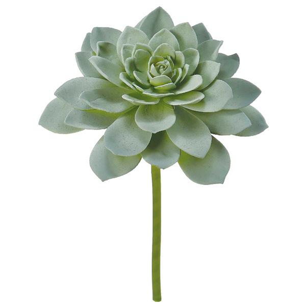 y|Cg5{ 11/03 09:59z  O[ A Ƃ悹i TbJe CeA tFCN O[ p[c ԍ AXJ ASCA AXJ