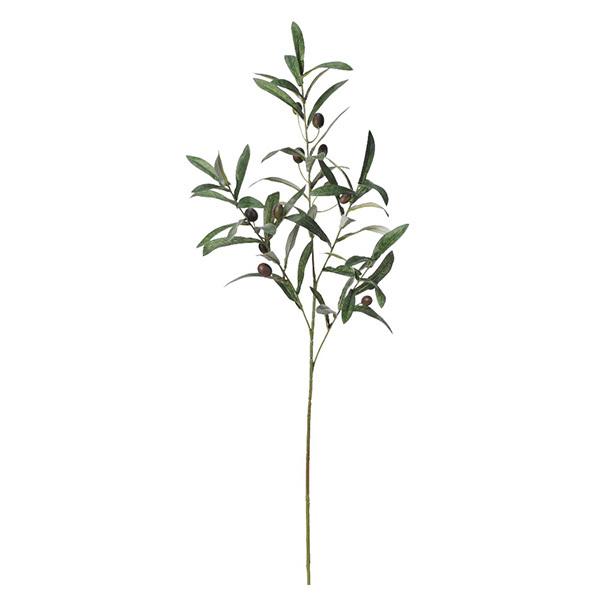 y|Cg5{ 11/03 09:59z  O[ Ƃ悹i I[u CeA tFCN O[ p[c CeAt[ AXJ ASCA AXJ