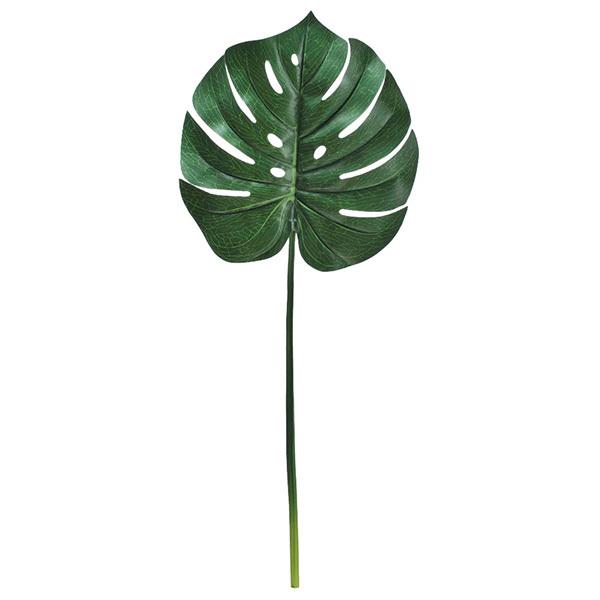  O[ Ƃ悹i Xe ϗt 썑 gsJ 傫 CeA tFCN O[ p[c CeAt[ t AXJ ASCA AXJ