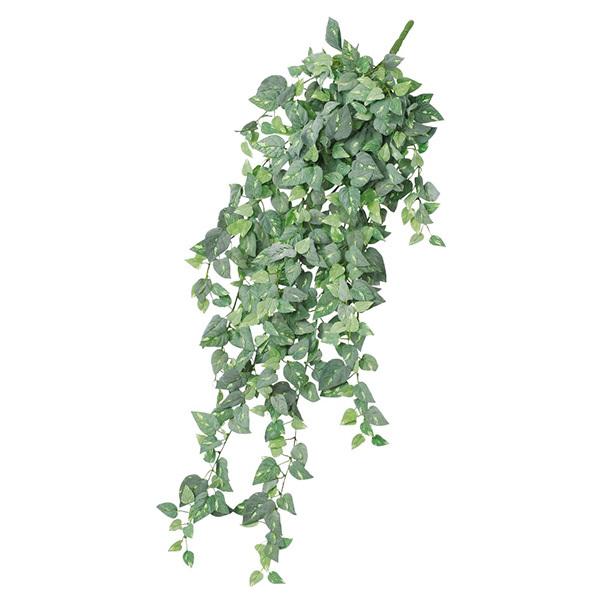 造花 グリーン とりよせ品 Asca ポトスハンギングブッシュ クリームグリーン Asc A 造花ドライフラワー専門問屋花びし 通販 Yahoo ショッピング