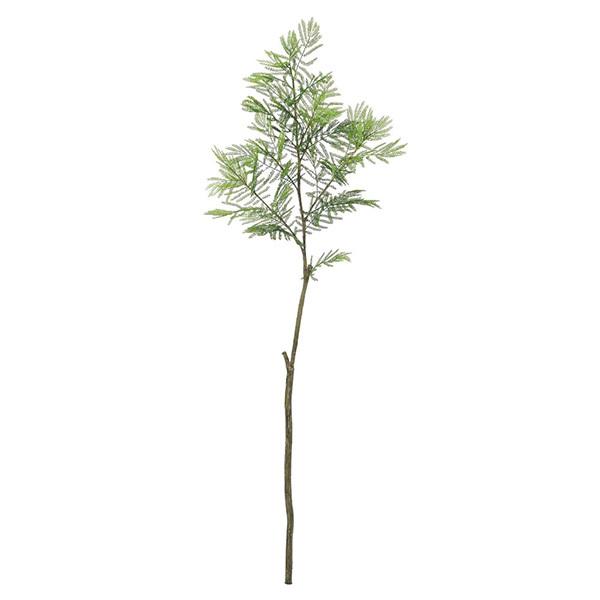 yP5{ 12/02 09:59z  O[ Ƃ悹i Go[tbV CeA tFCN O[ p[c CeAt[ AXJ ASCA AXJ