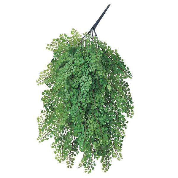  O[ Ƃ悹i AWA^ CeA tFCN O[ p[c CeAt[ tFCNt[ ԍ Ԏ AXJ ASCA AXJ