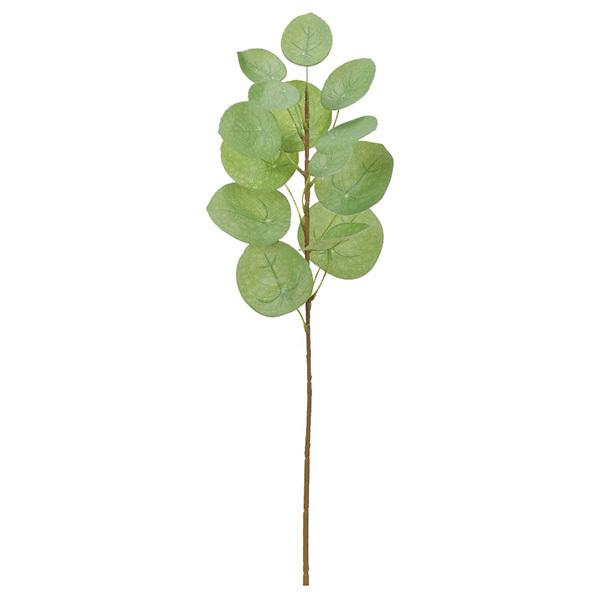 yP5{ 12/02 09:59z  O[ Ƃ悹i yy~A CeA tFCN O[ p[c CeAt[ ԍ AXJ ASCA AXJ