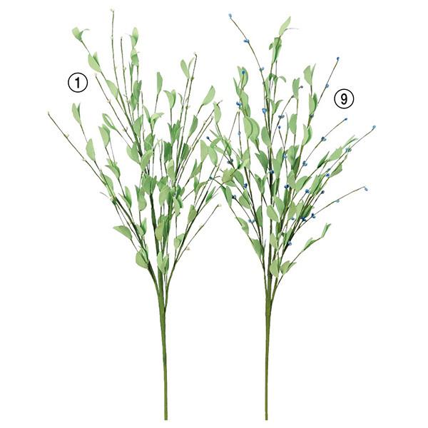 yP5{ 12/02 09:59z  O[  Ƃ悹i x[Xv[ CeA tFCN O[ p[c AWg t AXJ ASCA AXJ