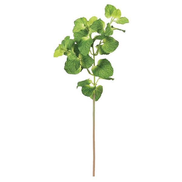 【商品サイズ】(素材)L42 葉径2~4 (ポリエステル・ポリエチレン)※単位はセンチ【ポリエチレン商品について】プラスチックの素材感がよくわかるものになります。光沢感、硬さがあるものや、一部製造過程でできる、バリと呼ばれるはみ出た部分があ...