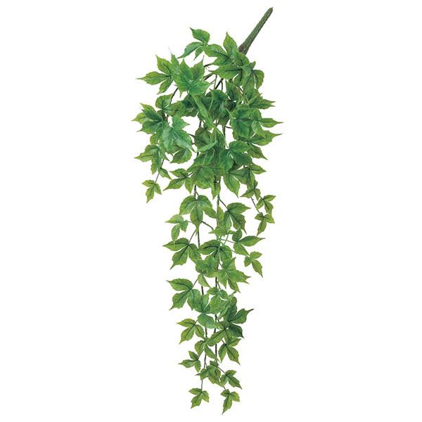  O[ Ƃ悹i [vnMOubV CeA tFCN O[ p[c CeAt[ VNt[ AXJ ASCA AXJ