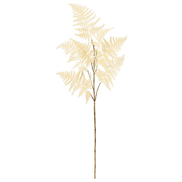 造花 グリーン とりよせ品 Asca アスカ アスパラガスファーン クリームホワイト インテリア フェイク グリーン パーツ 花材 花資材 Asc A 造花ドライフラワー専門問屋花びし 通販 Yahoo ショッピング