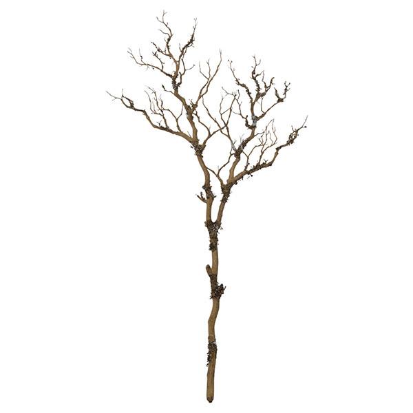 y|Cg5{ 11/03 09:59z  O[ Ƃ悹i u` }  傫 oC CeA tFCN O[ ԍ AXJ ASCA AXJ