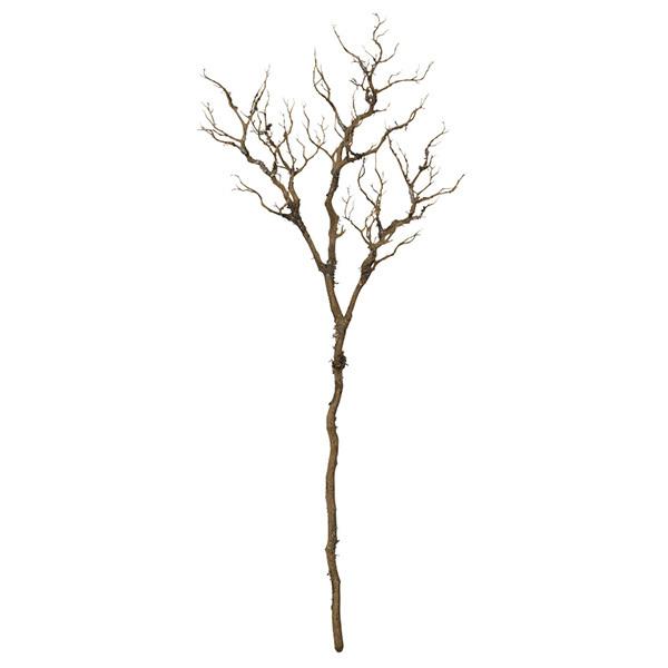 y|Cg5{ 11/03 09:59z  O[ Ƃ悹i u` }  傫 oC CeA tFCN O[ ԍ AXJ ASCA AXJ