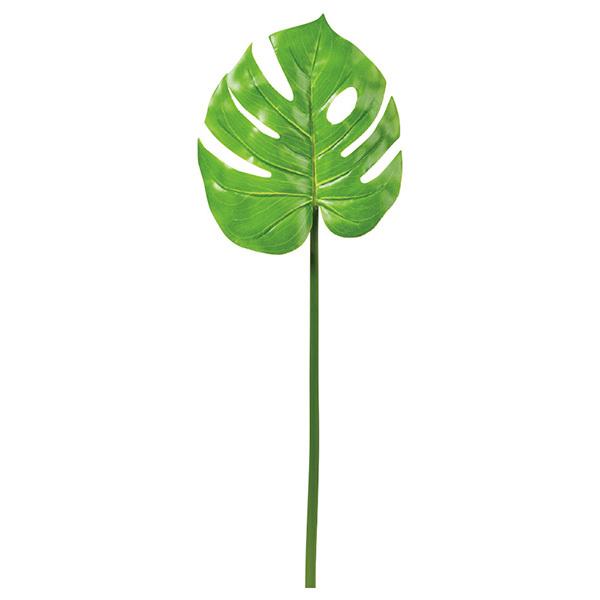  O[ Ƃ悹i Xe ϗt 썑 gsJ 傫 CeA tFCN O[ ԍ AXJ ASCA AXJ