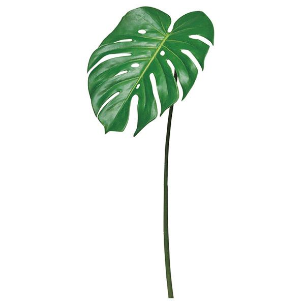  O[ Ƃ悹i Xe ϗt 썑 gsJ 傫 CeA tFCN O[ ԍ AXJ ASCA AXJ