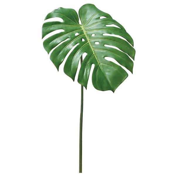 yP5{ 12/02 09:59z  O[ Ƃ悹i Xe ϗt 썑 gsJ 傫 CeA tFCN O[ ԍ AXJ ASCA AXJ