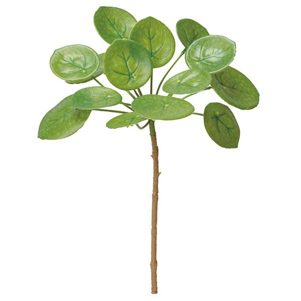 yP5{ 12/02 09:59z  O[ Ƃ悹i yy~A CeA tFCN O[ p[c CeAt[ ԍ AXJ ASCA AXJ