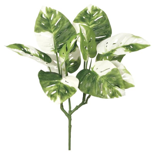 【商品仕様】(素材)全長43 横幅36 葉径11~16 (ポリエステル・ポリエチレン)※単位はセンチ( 2024asc )( 15_asoh )( allp5 ) モンステラ 観葉 南国 トロピカル 大きい インテリア フェイク グリーン ...