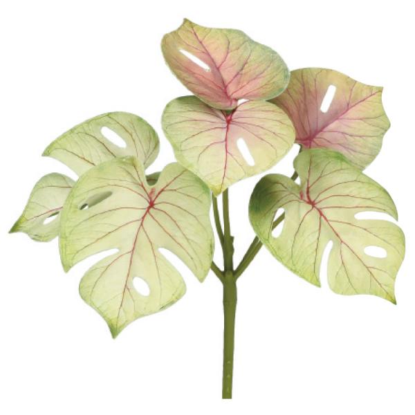 【商品仕様】(素材)全長17 横幅15 葉径6~8 (プラスチックシート・ポリエチレン)※単位はセンチ( 2024asc )( 15_asoh )( allp5 ) モンステラ 観葉 南国 トロピカル 大きい インテリア フェイク グリーン...