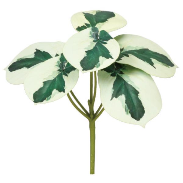 【商品仕様】(素材)全長16 横幅15 葉径6~7.5 (プラスチックシート・ポリエチレン)※単位はセンチ( 2024asc )( 15_asoh )( allp5 ) インテリア フェイク グリーン パーツ インテリアフラワー フェイクフ...