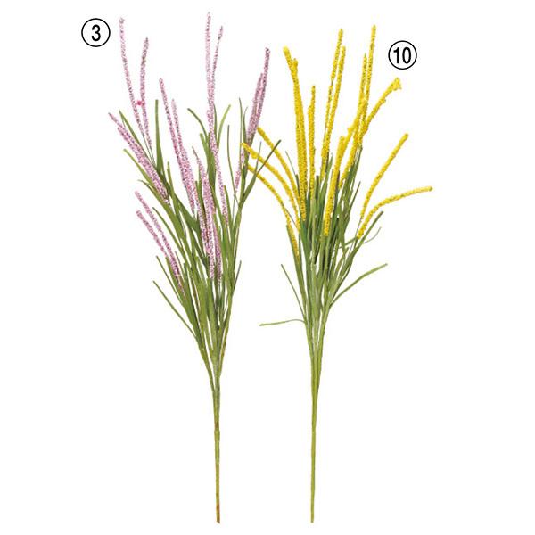 yP5{ 12/02 09:59z  O[  Ƃ悹i x[ubV CeA tFCN O[ p[c AWg t AXJ ASCA AXJ