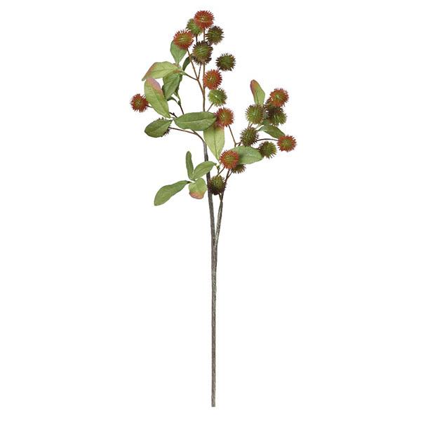 yP5{ 12/02 09:59z  O[  Ƃ悹i `FXibc CeA tFCN O[ p[c AWg ԍ AXJ ASCA AXJ