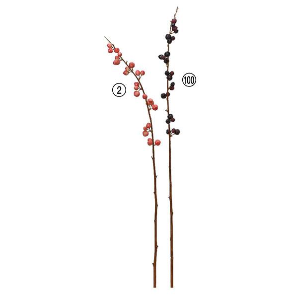 yP5{ 12/02 09:59z  O[  Ƃ悹i x[Xv[ CeA tFCN O[ p[c AWg t AXJ ASCA AXJ