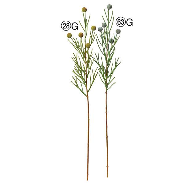 yP5{ 12/02 09:59z  O[  Ƃ悹i x[Xv[ CeA tFCN O[ p[c AWg t AXJ ASCA AXJ