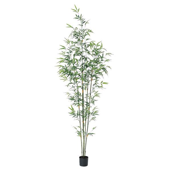 yP5{ 12/02 09:59z tFCNO[ ϗtA Ƃ悹i y[J[zou[c[(|bgt) 210cmssEiƂ̓st  AX