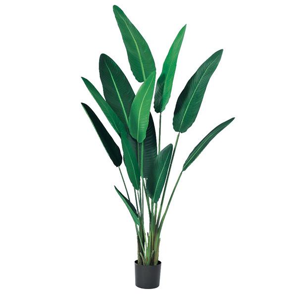 yP5{ 12/02 09:59z tFCNO[ ϗtA Ƃ悹i y[J[zgxp[(|bgt) 210cmssEiƂ̓st  AX