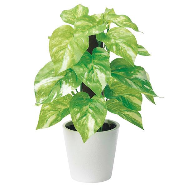 フェイクグリーン 観葉植物 とりよせ品 Asca アスカ ポトスポット クリームグリーン 造花 人工観葉 小さめ インテリア 店舗装飾 春 Asc A 造花ドライフラワー専門問屋花びし 通販 Yahoo ショッピング