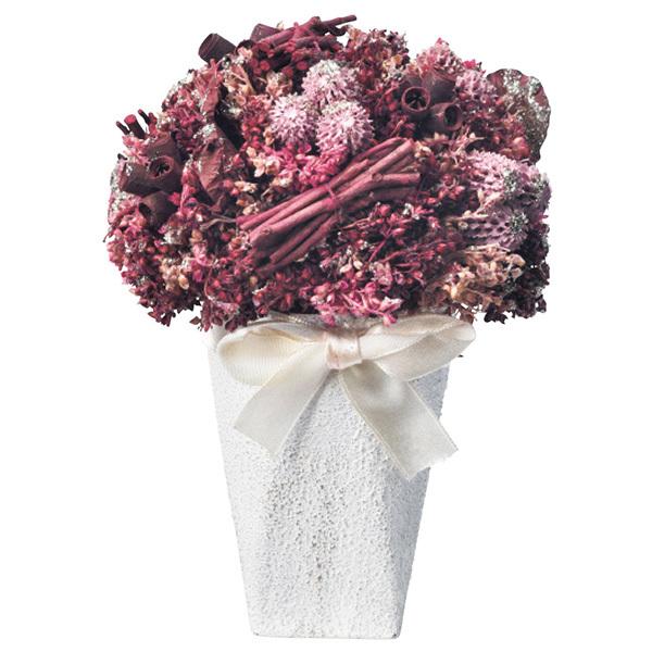 Ƃ悹i K[fAW|bg p[c AWg Ԏ  ޗ ʐ^Be    t  H ~ ܌  AXJ ASCA AXJ