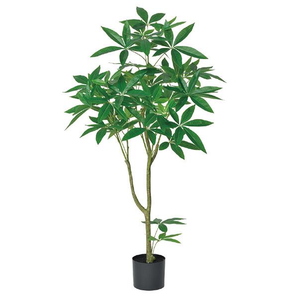 yP5{ 12/02 09:59z tFCNO[ ϗtA Ƃ悹i y[J[izpL(|bgt) 120cmsρEiƓst  AXJ ASCA