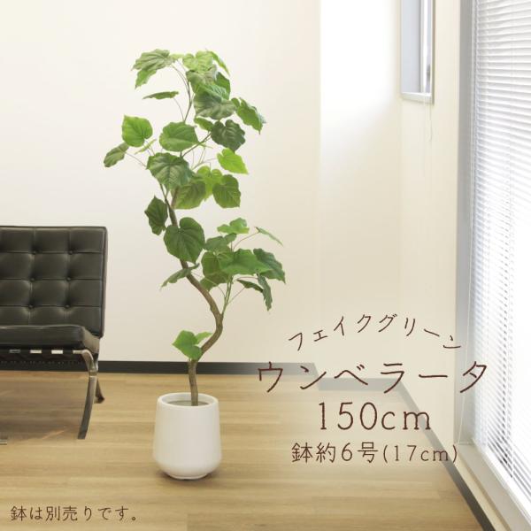 アスカ商会 フェイクグリーン 観葉植物 とりよせ品 【メーカー直送品