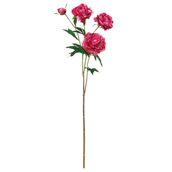 造花 とりよせ品 Asca アスカ ピオニ 3 つぼみ 1 ボタン 牡丹 シャクヤク 芍薬 インテリア インテリアフラワー 花材 花資材 Asc A 造花ドライフラワー専門問屋花びし 通販 Yahoo ショッピング