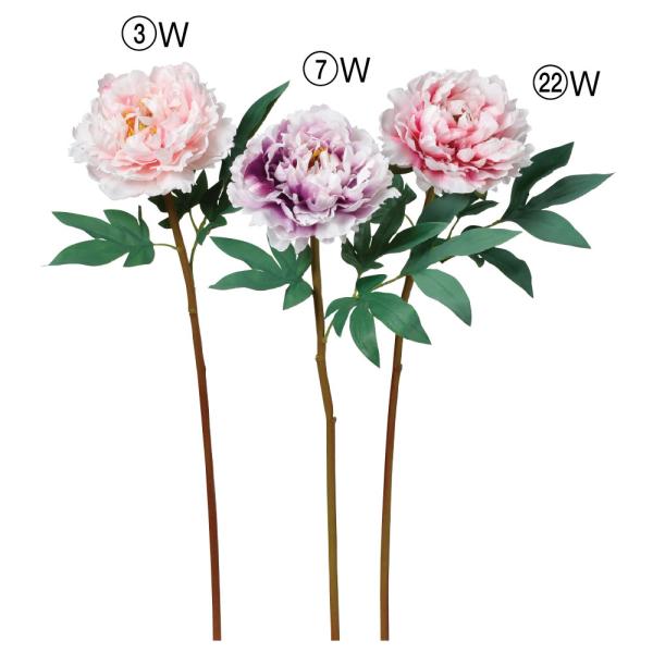   Ƃ悹i sIj[ {^ O VNN 䉖 CeA CeAt[ tFCNt[ VNt[ AXJ ASCA AXJ