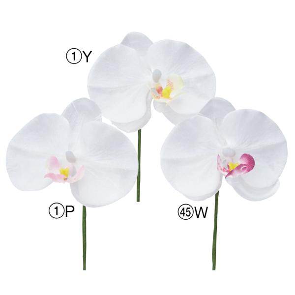 【商品仕様】(素材)全長11 花径9.5 (不織布・ポリエチレン・紙テープ)※単位はセンチ( allp5 )(10_dras)( nwyrslk)( 15_asoh )(2023AWasc) インテリア インテリアフラワー フェイクフラワー...