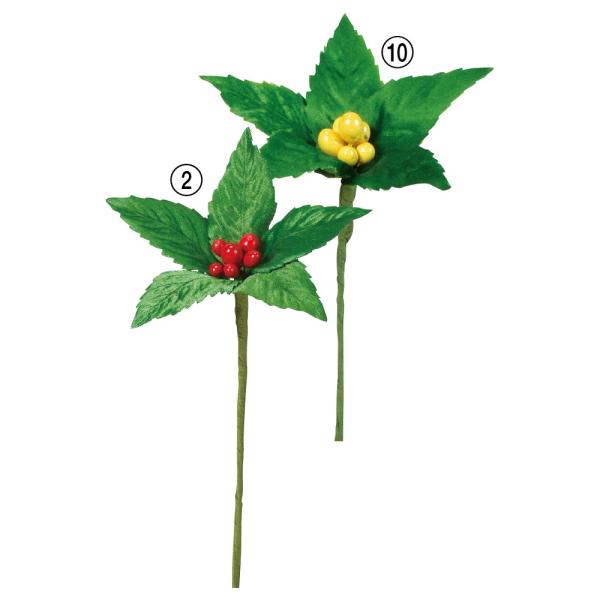 yP5{ 12/02 09:59z O[    Ƃ悹i ZEsbN(16{) CeA tFCN O[ p[c AXJ ASCA AXJ