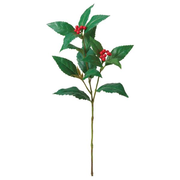 yP5{ 12/02 09:59z O[    Ƃ悹i ZEXv[ CeA tFCN O[ p[c ԍ f AXJ ASCA AXJ