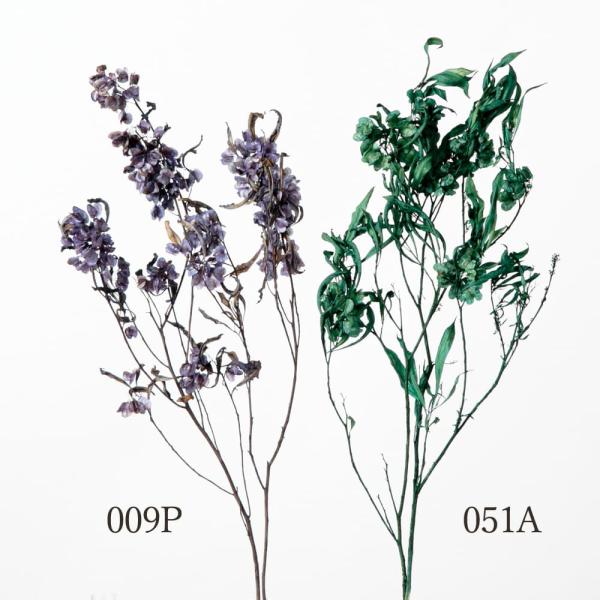 【商品仕様】全長 約50cm【お伝えしたいこと】※花材を入れている袋にしわが入っている場合があります。( allp5 )(10_dras)( 15_asoh ) 花材 素材 材料 ブルー グリーン スワッグ ブーケ ドライフラワー花束 ドラ...