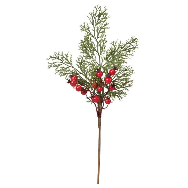 NX}X  Ƃ悹i V[_[x[sbN sbN  ݂̖ t I[ig NX}X NX}X[X G AXJ ASCA AXJ