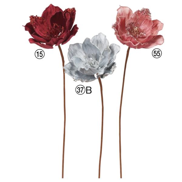 NX}X  Ƃ悹i }OmA  I[ig t[ NX}X NX}X[X CeA G fBXvC AXJ ASCA AXJ