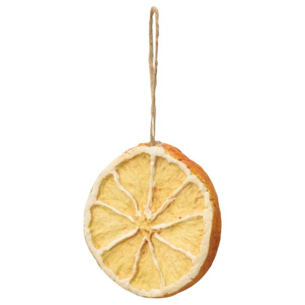 yP5{ 12/02 09:59z NX}X I[ig Ƃ悹i XCXIWI[ig(13R) I[ig NX}X AXJ ASCA AXJ