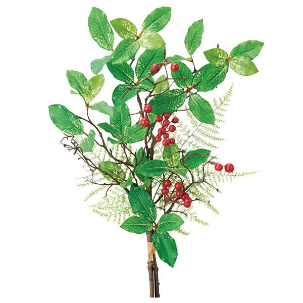 NX}X  O[ Ƃ悹i ~bNXo` [t z[[ t  I[ig NX}X NX}X[X AXJ ASCA AXJ